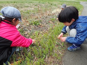 野原で虫さがし.jpg