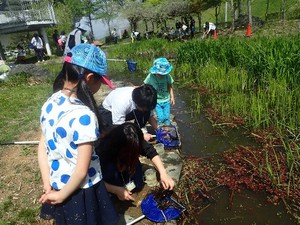 水の中の生き物さがし.jpg