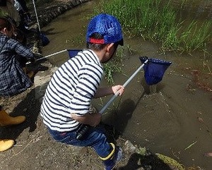 8.10お池の探検隊　タニシつり.jpg