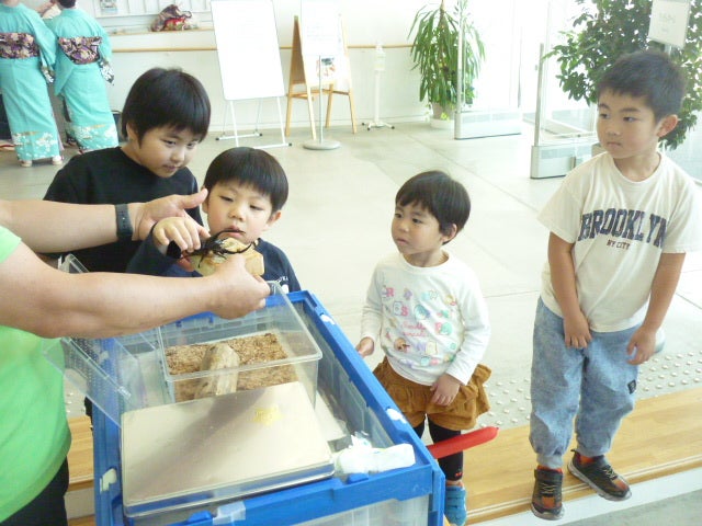 生き物ふれあいタイム