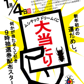 令和8年1月4日（日）くじ引き開催！ | ムシテックワールド